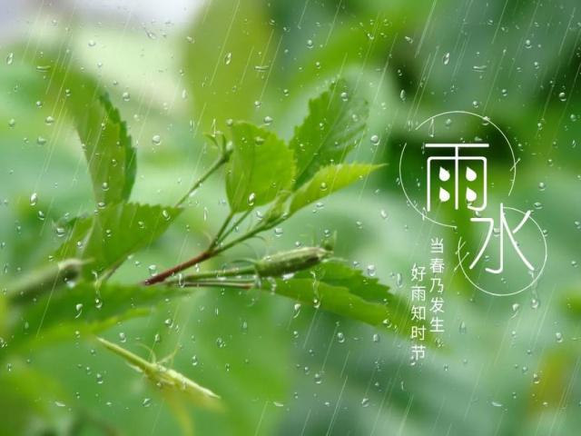 污水螺旋板换热器